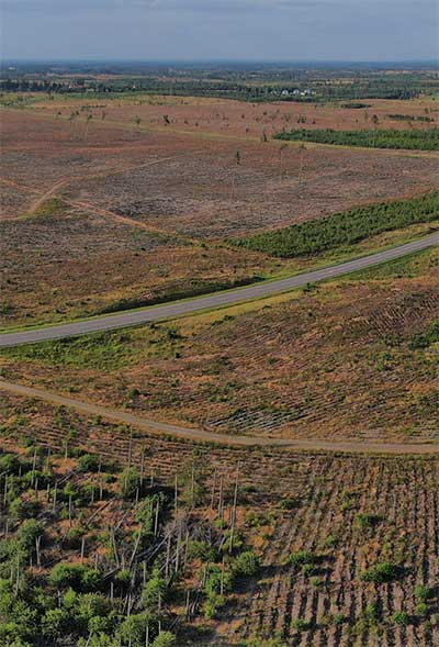 LAS po trąbie JEZIORKI
